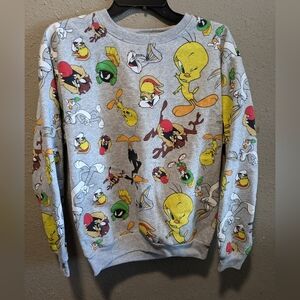 Looney Tunes Juniors Pullover Sweater